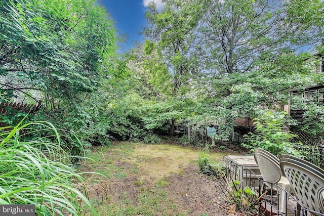 4208 Longfellow St, Hyattsville, MD 20781 - view of yard