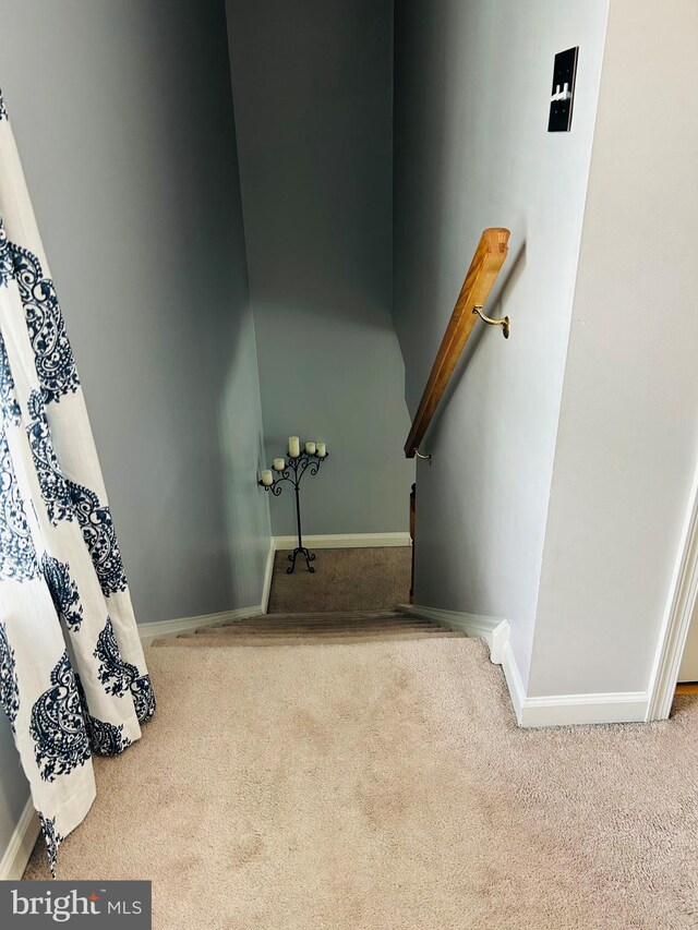 99 Berkley Rd, Reading, PA 19605 - stairs featuring carpet flooring and baseboards