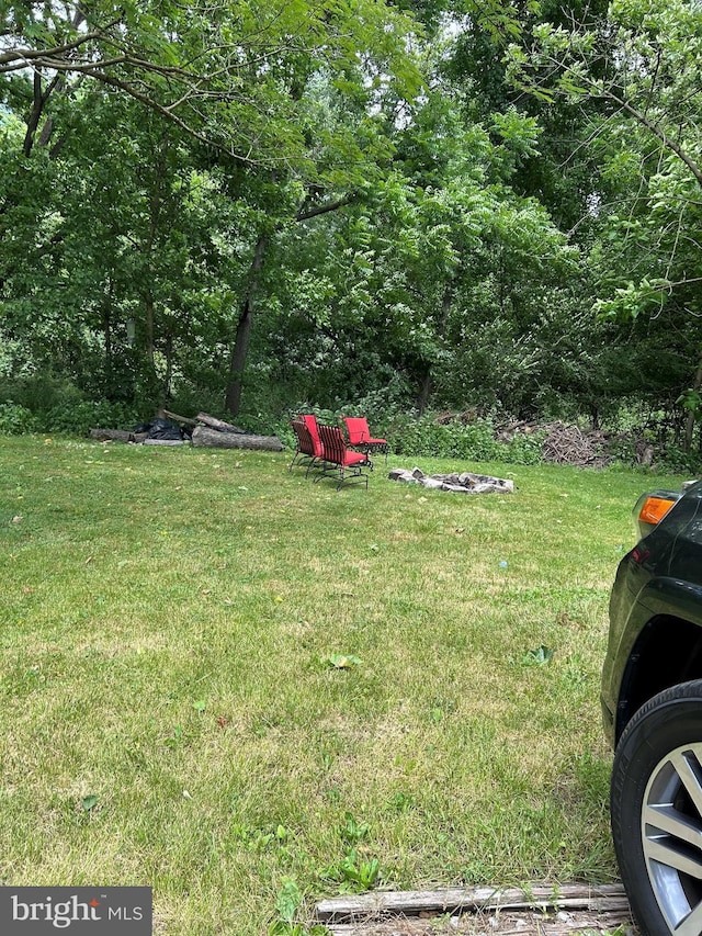 99 Berkley Rd, Reading, PA 19605 - view of green lawn