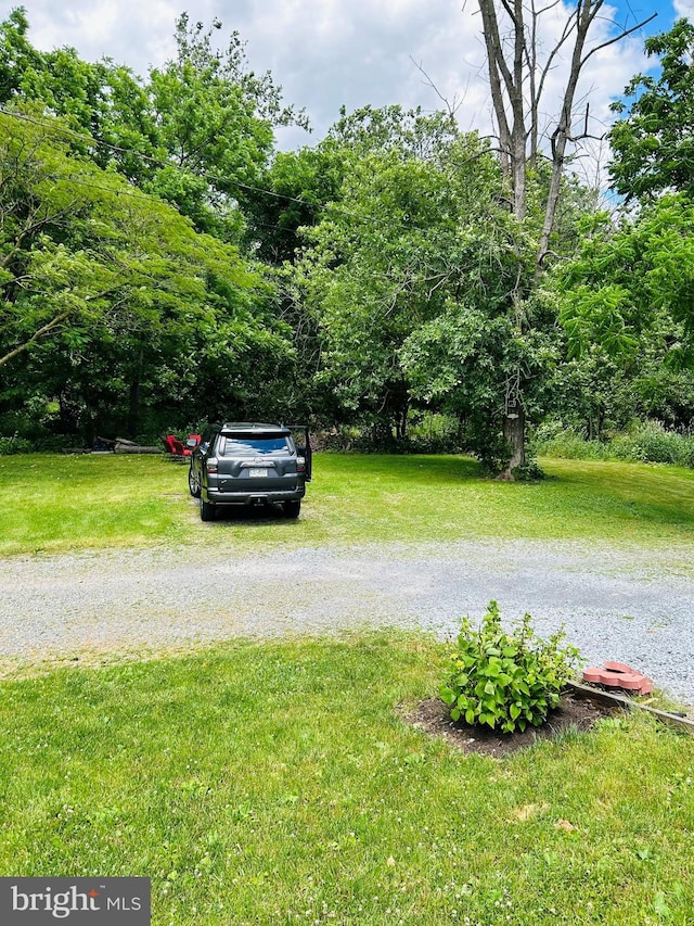 99 Berkley Rd, Reading, PA 19605 - view of green lawn