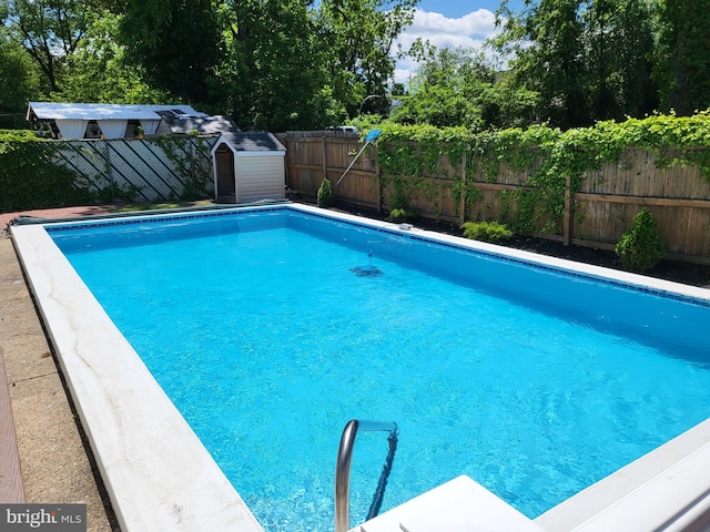 508 Weeks Ave, Riverside, NJ 08075 - view of pool featuring a fenced backyard