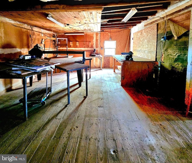 30292 Vines Creek Rd, Dagsboro, DE 19939 - below grade area with hardwood / wood-style floors and a workshop area