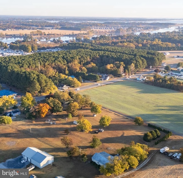 30292 Vines Creek Rd, Dagsboro, DE 19939 - aerial view of a nearby body of water