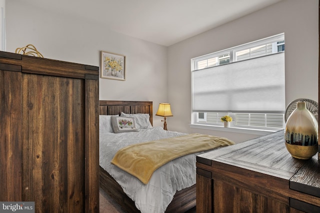 4387 Shakespeare Cir, White Plains, MD 20695 - view of bedroom