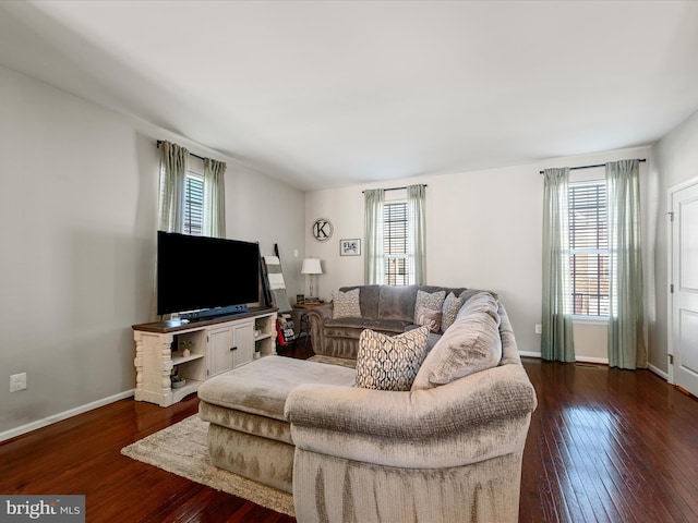 110 Fritillary Ct, Lake Frederick, VA 22630 - living room featuring hardwood / wood-style floors, healthy amount of natural light, and baseboards