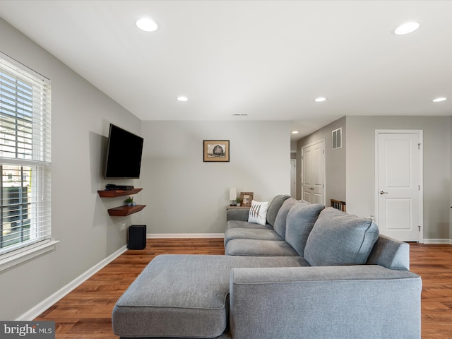 110 Fritillary Ct, Lake Frederick, VA 22630 - living area with plenty of natural light, recessed lighting, wood finished floors, and baseboards