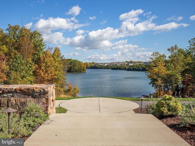 110 Fritillary Ct, Lake Frederick, VA 22630 - water view