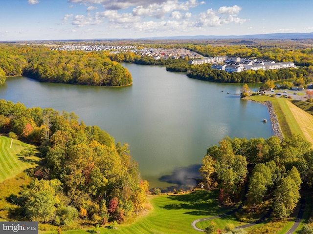 110 Fritillary Ct, Lake Frederick, VA 22630 - aerial view of a large body of water