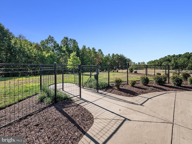 110 Fritillary Ct, Lake Frederick, VA 22630 - view of yard with a gate