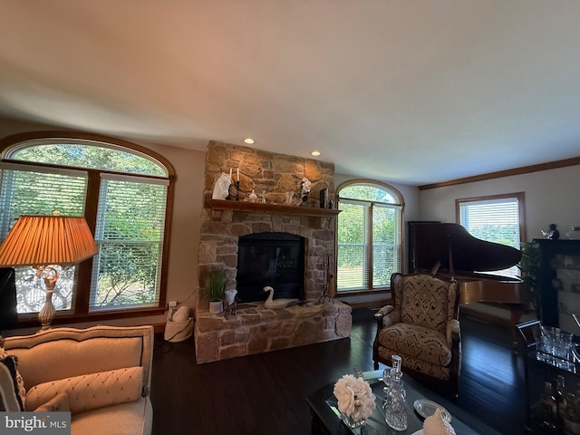 12534 Fawn Dr, Laurel, DE 19956 - living area with wood finished floors, a fireplace, and recessed lighting
