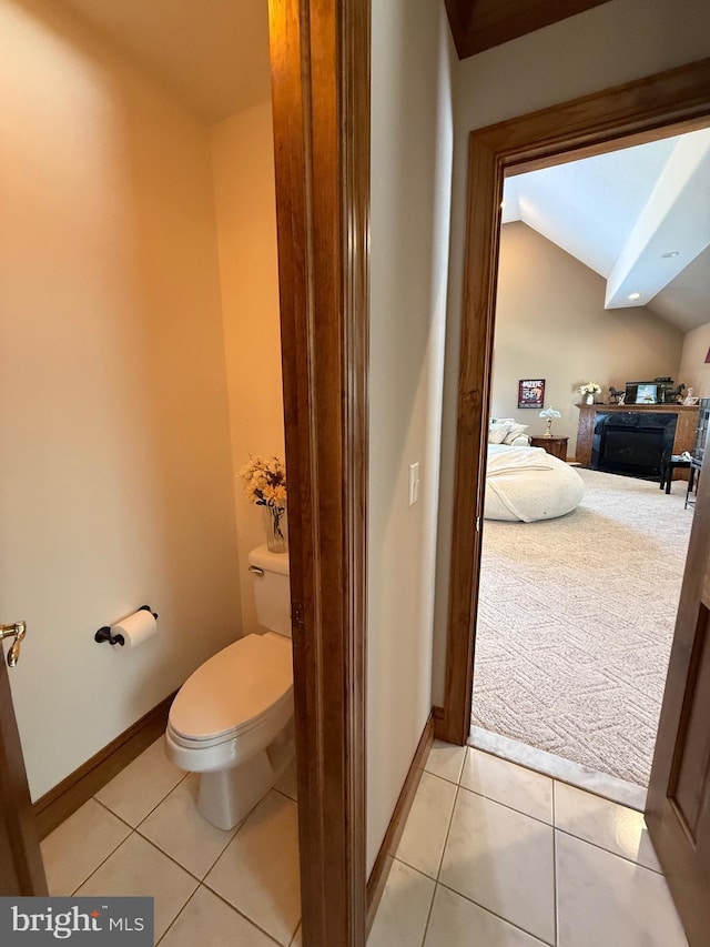 12534 Fawn Dr, Laurel, DE 19956 - bathroom with tile patterned flooring and lofted ceiling