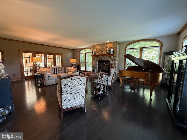 12534 Fawn Dr, Laurel, DE 19956 - living room featuring a fireplace and dark wood finished floors