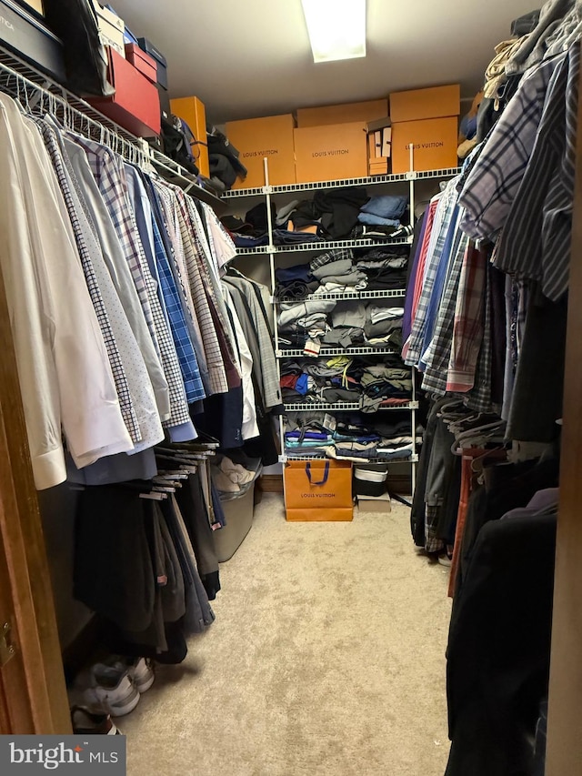 12534 Fawn Dr, Laurel, DE 19956 - walk in closet featuring carpet floors