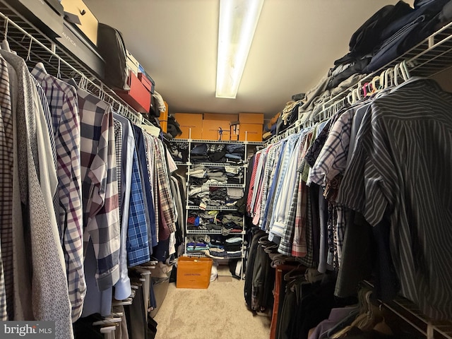 12534 Fawn Dr, Laurel, DE 19956 - walk in closet with carpet
