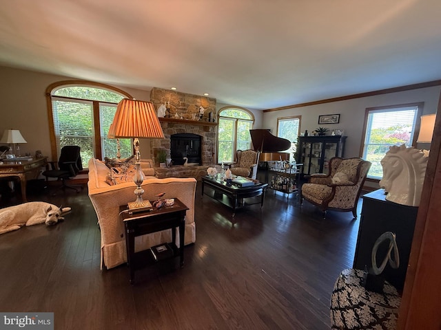 12534 Fawn Dr, Laurel, DE 19956 - living area featuring dark wood-type flooring, plenty of natural light, a stone fireplace, and ornamental molding