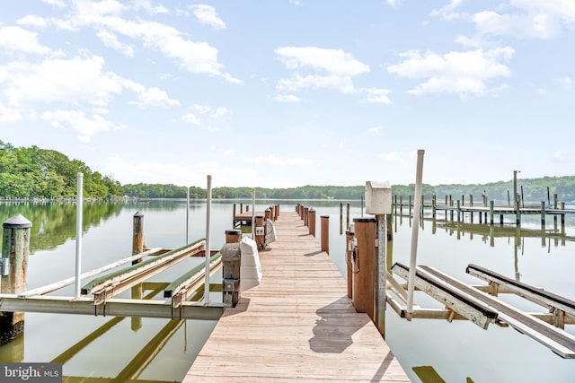 dock with boat lift and a water view