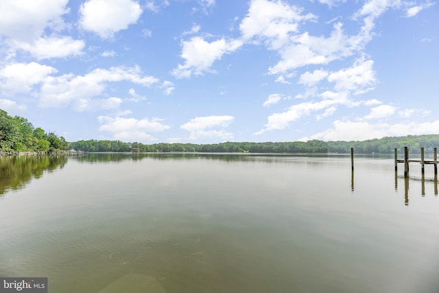 water view with a boat dock