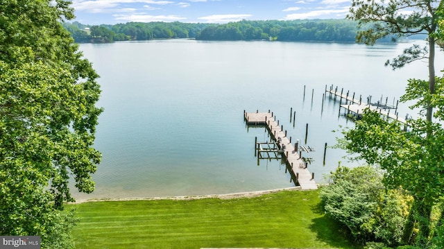 dock featuring a water view and a yard