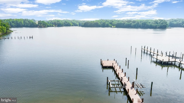 dock featuring a water view and a forest view