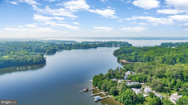 bird's eye view of a large body of water and a heavily wooded area