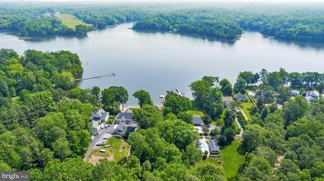 aerial perspective of suburban area with a large body of water and a forest