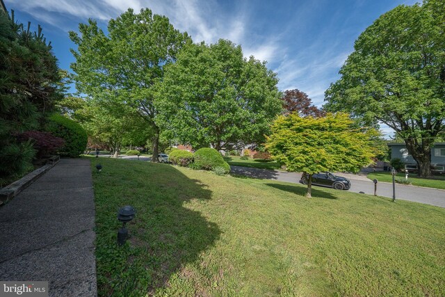 1200 Gainsboro Rd, Bala Cynwyd, PA 19004 - view of grassy yard