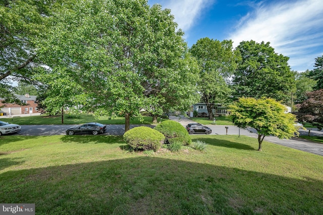 1200 Gainsboro Rd, Bala Cynwyd, PA 19004 - view of grassy yard