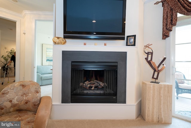 1322 Meridian Blvd Unit 1322, Warrington, PA 18976 - detailed view of a fireplace, ornamental molding, and carpet flooring