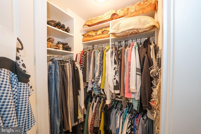 1322 Meridian Blvd Unit 1322, Warrington, PA 18976 - view of walk in closet