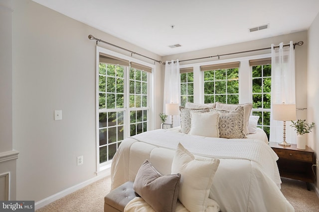 13943 Lullaby Rd, Germantown, MD 20874 - carpeted bedroom with baseboards