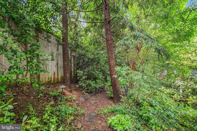 2005 S Quincy St, Arlington, VA 22204 - view of undeveloped land