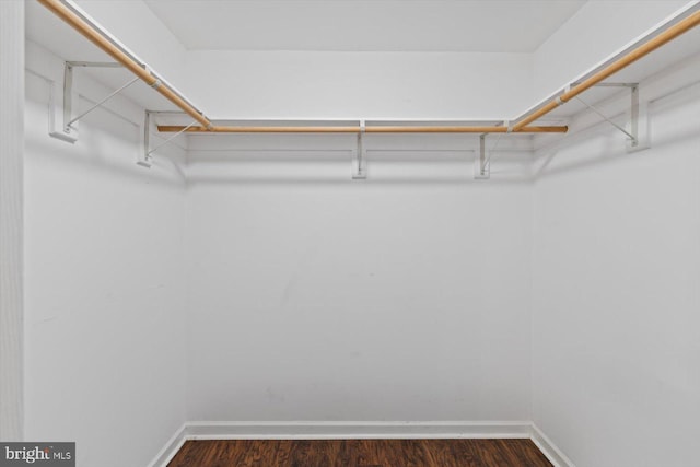 23115 Mt Cloud Rd, Bowling Green, VA 22427 - spacious closet featuring dark wood-type flooring