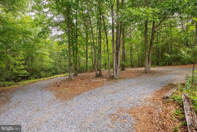 23115 Mt Cloud Rd, Bowling Green, VA 22427 - view of road with a view of trees