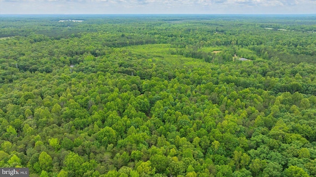 23115 Mt Cloud Rd, Bowling Green, VA 22427 - bird's eye view of a heavily wooded area