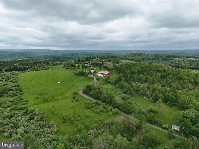 9207 Douglas Rd, Olanta, PA 16863 - drone / aerial view of a forest