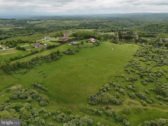 9207 Douglas Rd, Olanta, PA 16863 - overview of rural landscape