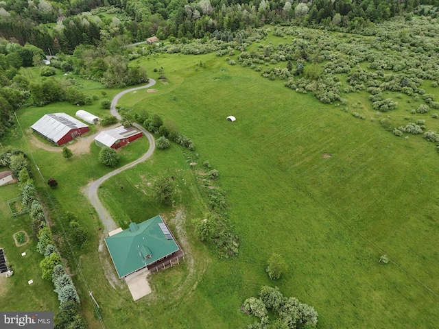 9207 Douglas Rd, Olanta, PA 16863 - aerial view of property's location