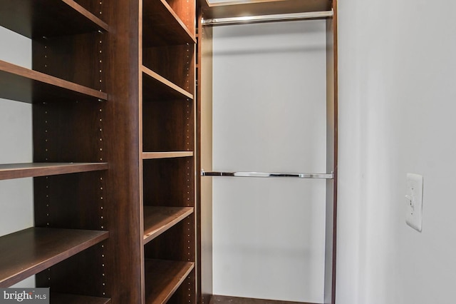 6510 Lake Park Dr Unit 2E/201, Greenbelt, MD 20770 - view of spacious closet