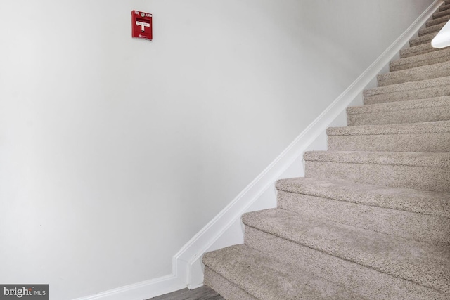 6510 Lake Park Dr Unit 2E/201, Greenbelt, MD 20770 - stairway featuring baseboards and wood finished floors