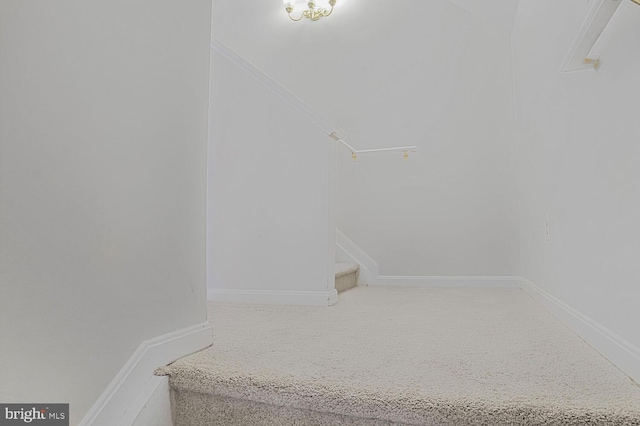 6510 Lake Park Dr Unit 2E/201, Greenbelt, MD 20770 - stairway with carpet floors