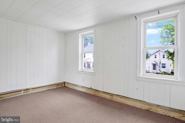 166 Tulpehocken St, Bernville, PA 19506 - carpeted spare room featuring plenty of natural light and wooden walls
