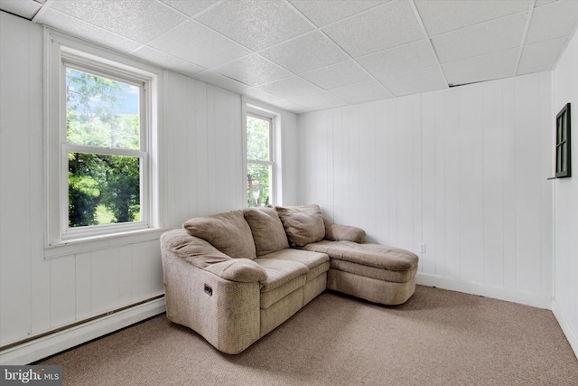 166 Tulpehocken St, Bernville, PA 19506 - living room with baseboard heating, a drop ceiling, carpet flooring, and baseboards