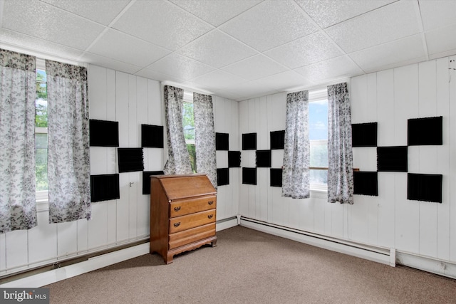 166 Tulpehocken St, Bernville, PA 19506 - spare room featuring carpet, a paneled ceiling, plenty of natural light, and a baseboard radiator