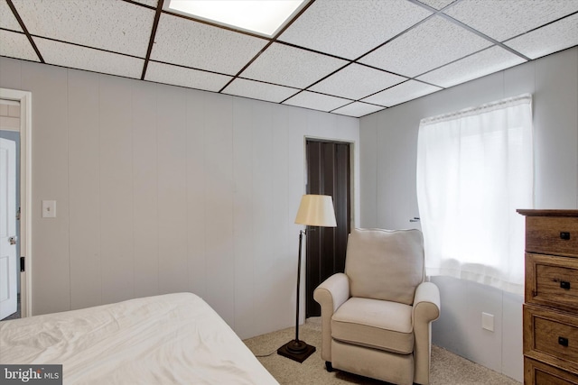 166 Tulpehocken St, Bernville, PA 19506 - bedroom featuring a paneled ceiling and light colored carpet