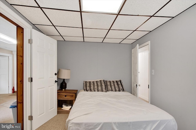 166 Tulpehocken St, Bernville, PA 19506 - bedroom with a paneled ceiling and carpet flooring