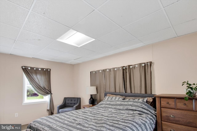 166 Tulpehocken St, Bernville, PA 19506 - bedroom with a drop ceiling