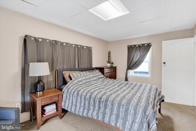 166 Tulpehocken St, Bernville, PA 19506 - bedroom with carpet floors and a drop ceiling
