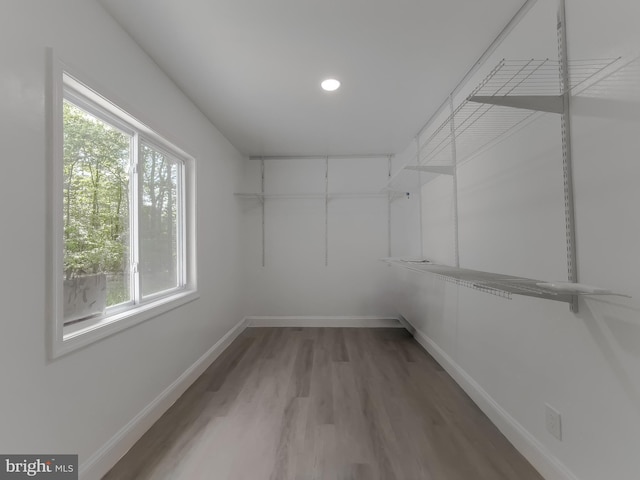 walk in closet with wood finished floors