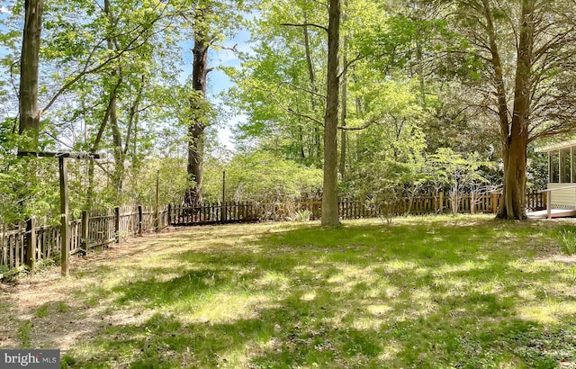 view of yard