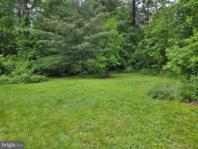 38 Mountain Rd, Orrtanna, PA 17353 - view of green lawn with a forest view